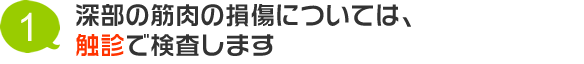 深部の筋肉の損傷については、触診で検査します