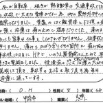 voice_009